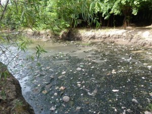 Arroyo de Las Ánimas