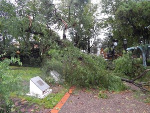 8 de abril 2014-destrozos en Caseros-2