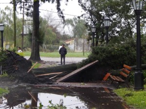 8 de abril 2014-destrozos en Caseros-3