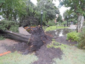 8 de abril 2014-destrozos en Caseros