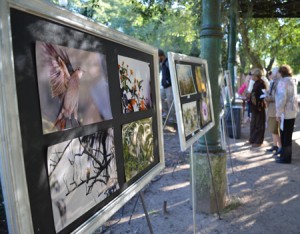 Muestra fotográfica-plaza Ramírez-2