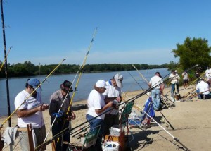 Pesca