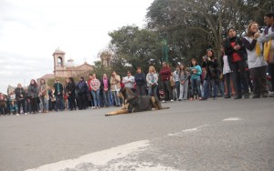 29 de marzo de 2014-marcha docente de Agmer 022