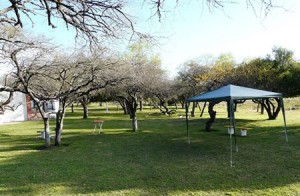 Parque de la ciudad-arboles