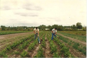 Huerta del Prado