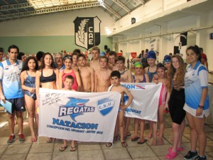 Regatas natación en el torneo de invierno,jpg