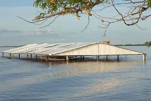 Cambacuá, bajo el agua.