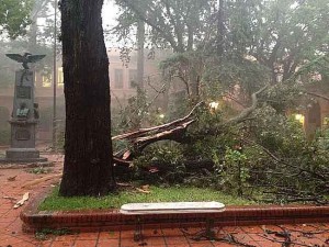 El patio del Colegio del Uruguay muestra las consecuencias del temporal.