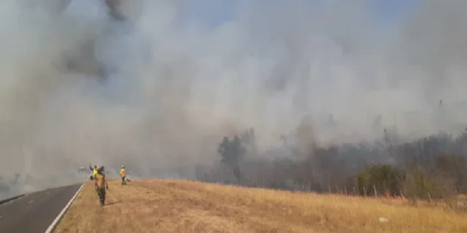 Las lluvias ayudaron a los bomberos a combatir el fuego en la zona del puente Rosario-Victoria