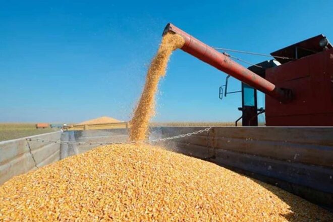 Para la Bolsa de Cereales de Entre Ríos, el acuerdo Mercosur-UE favorecerá las inversiones productivas - El Miércoles Digital