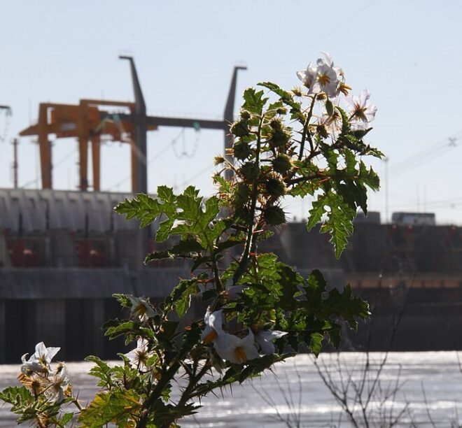 Piden un amparo ambiental por la falta de información sobre obras en el ...