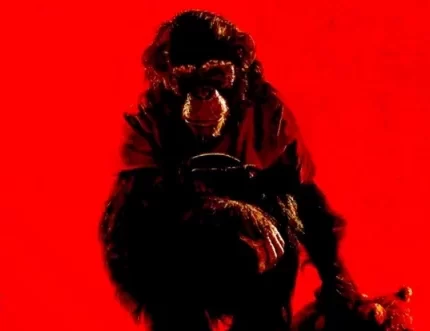 Primate, la peli de esta semana en el cine de La Histórica - El Miércoles Digital