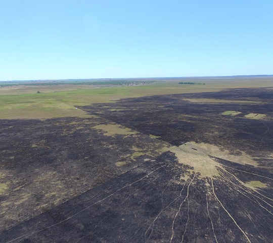 Días infernales con 9 grandes incendios forestales en Entre Ríos - El Miércoles Digital