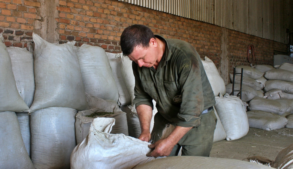 Para afrontar el costo de la zafra, una cooperativa misionera venderá 25 mil kilos directamente al consumidor de Buenos Aires - El Miércoles Digital