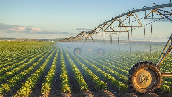 CAME celebra el 10,5% de IVA en tarifas de riego agroindustrial - El Miércoles Digital