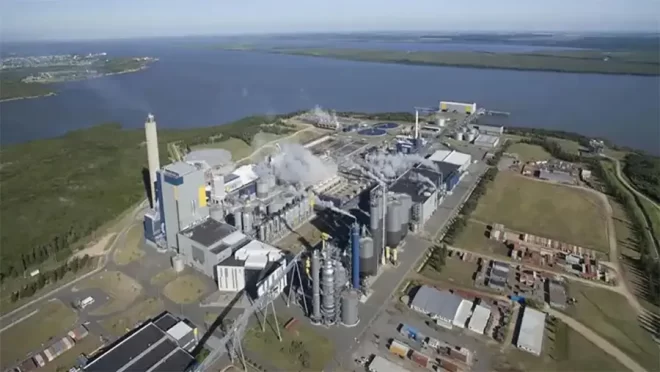El río Uruguay bajo amenaza: empresas extranjeras, controles vaciados y una CARU sin dientes - El Miércoles Digital